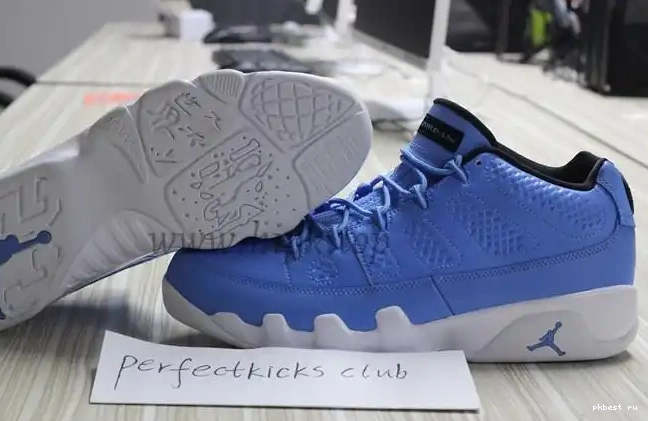 Authentic Low Jordan 9 Pantone Air 0502